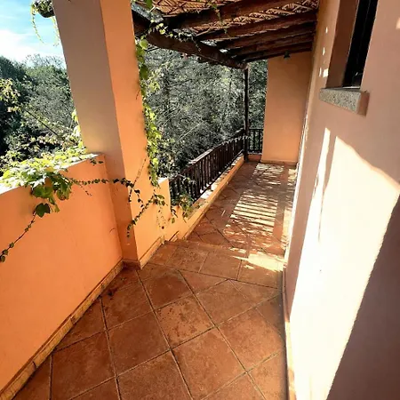 Con Piscina * Porto Cervo